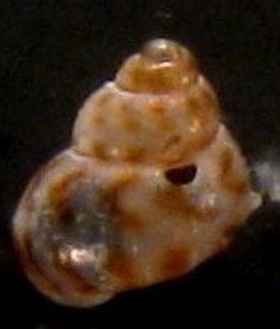 Senza nome- Tarifa a riva